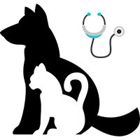 consulta veterinaria perros y gatos