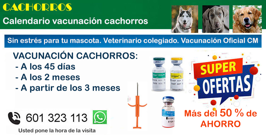 vacunacion cachorros veterinario a domicilio