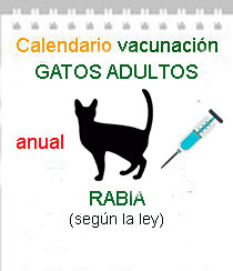 vacinacion gatos a domicilio